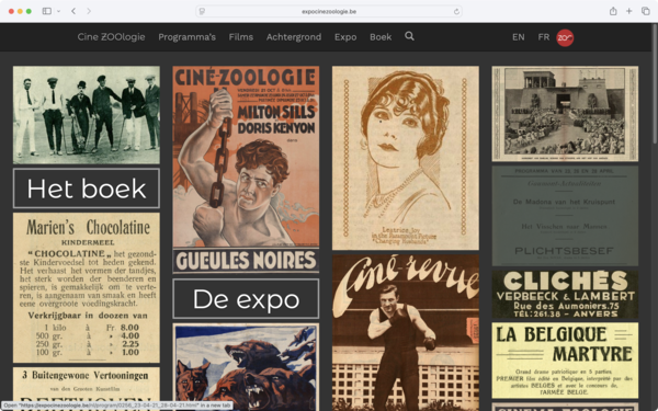 screenshot of website
