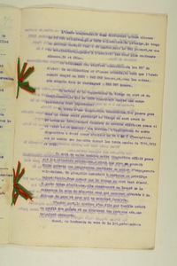 img0014019.jpg